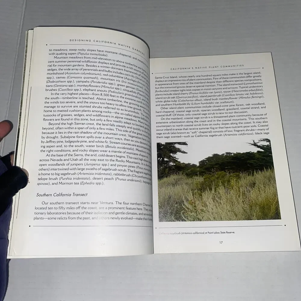 other good pages